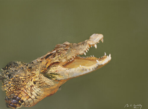 Le croco surgit des eaux van baudouin de Lambilly, Schilderij te koop op Singulart