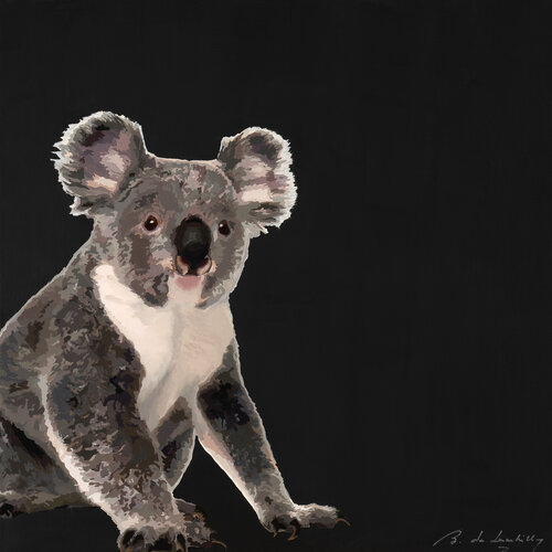 Koala van baudouin de Lambilly, Schilderij te koop op Singulart