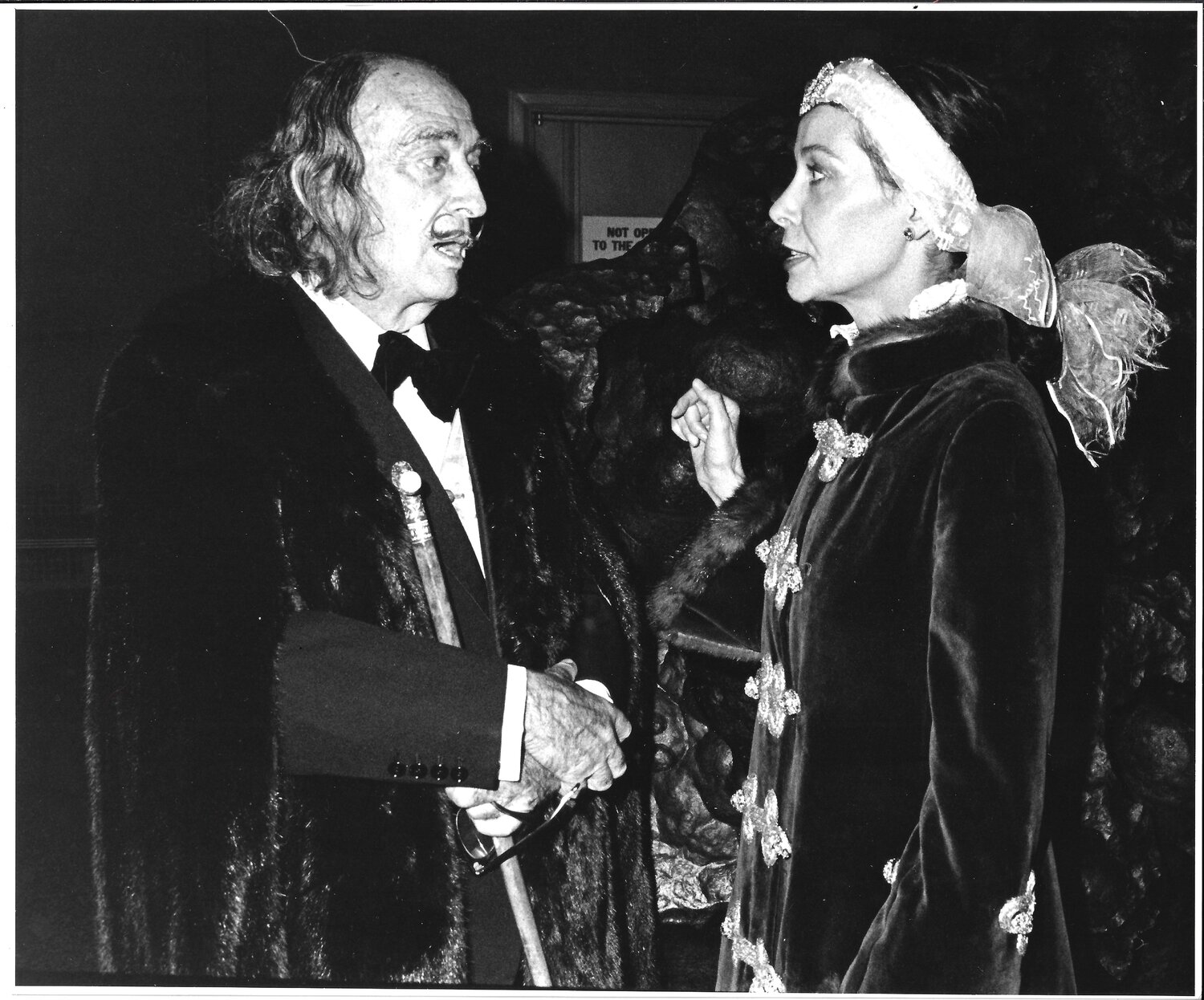 Dali and Ultraviolet face to face Diana Mara Henry