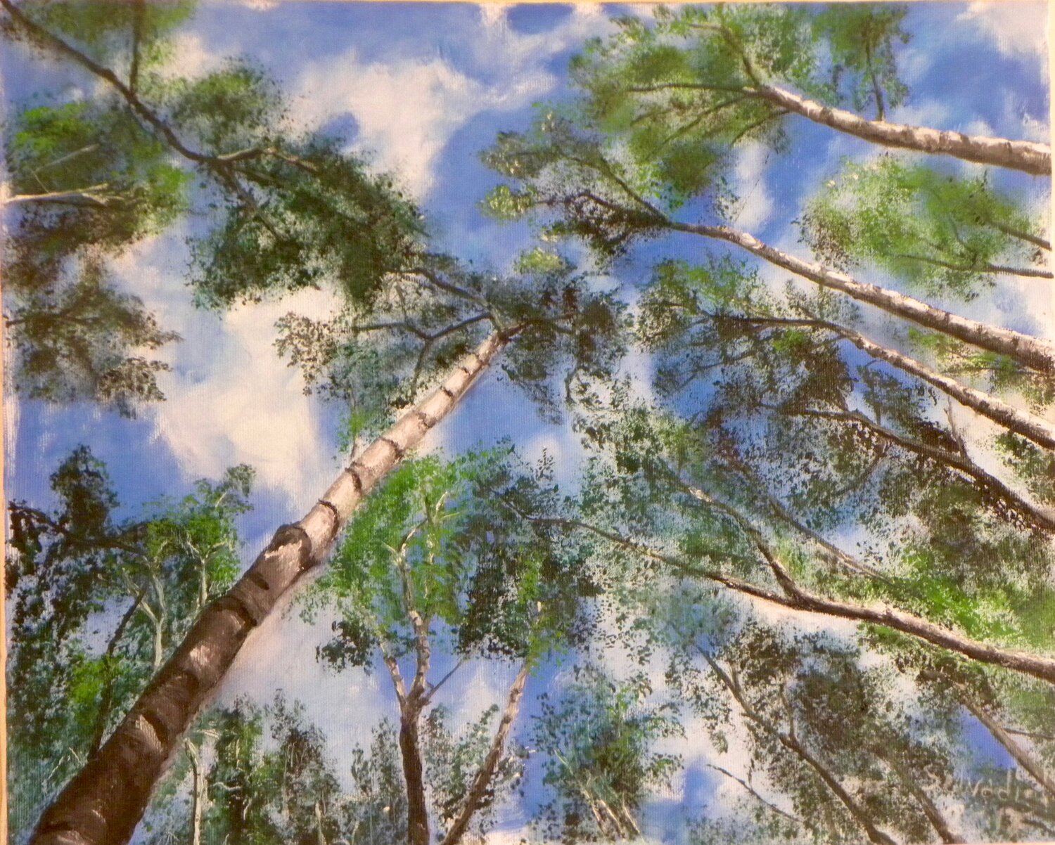 Aneliti Georges Maestroni