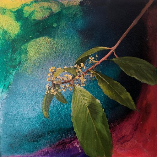 Khat de Nico Birk, Pintura a la venta en Singulart