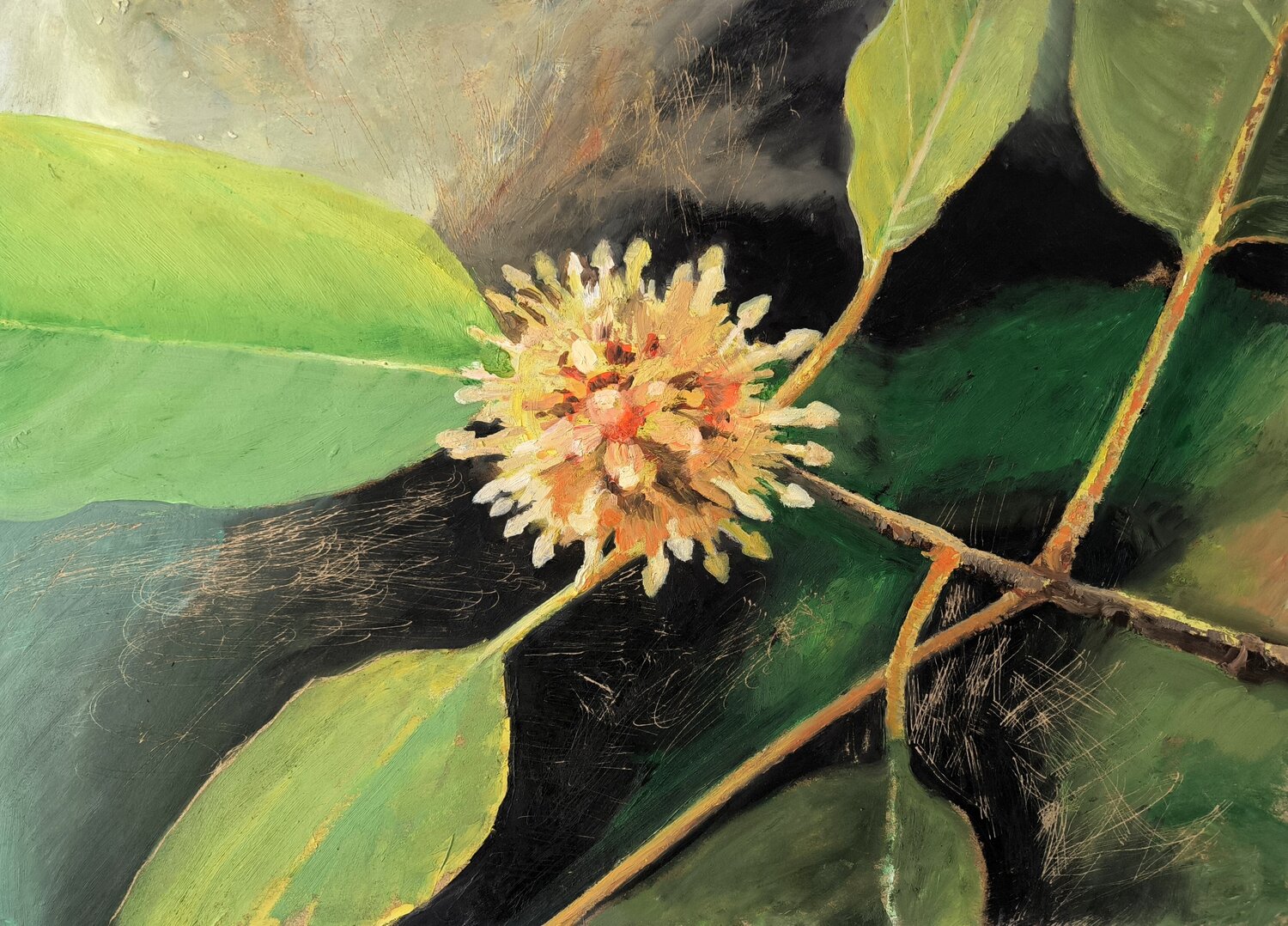 Kratom Nico Birk Pintura original en venta