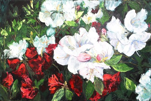 Red and White Rhododendron Flowers van Elena Murtazin, Schilderij te koop op Singulart