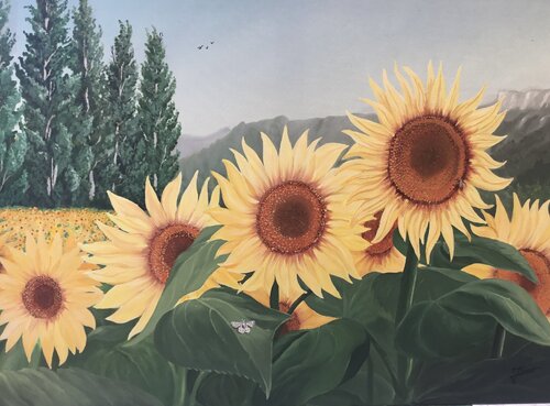 Champs de Tournesols by JJ Landreau, Painting for Sale on Singulart