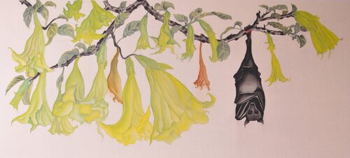 Brugmansia and the Bat van Dongmei Wang, Schilderij te koop op Singulart