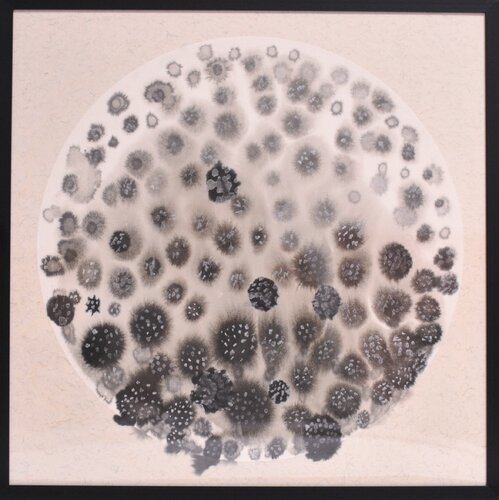 Microcosmic Bloom van Dongmei Wang, Schilderij te koop op Singulart