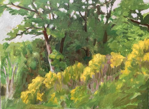 Les genêts von Pascal Lefebvre, Malerei kaufen auf Singulart