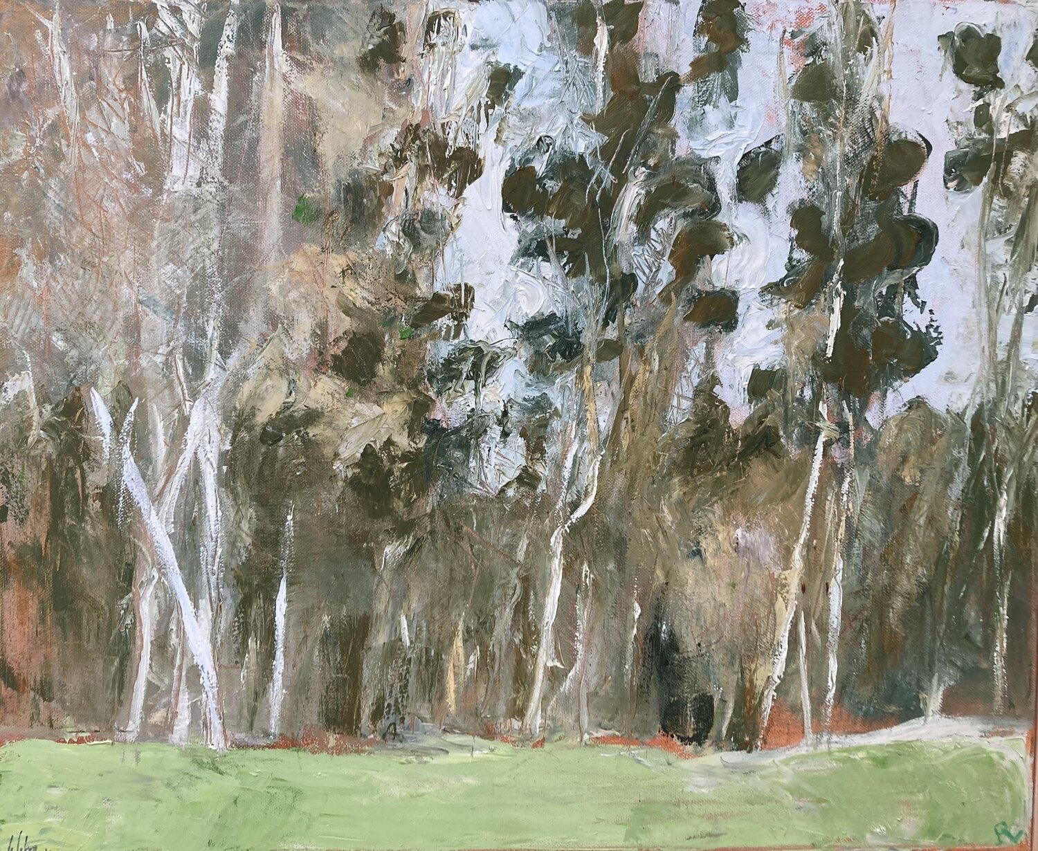 Les grands bouleaux Pascal Lefebvre