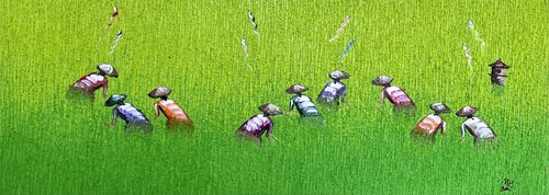 Paddy Fields di Anu Bhat, Pittura in vendita su Singulart