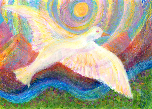 Soaring White Dove von Heni Sandoval, Malerei kaufen auf Singulart