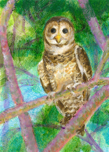 Little Owl by Heni Sandoval, Painting for Sale on Singulart