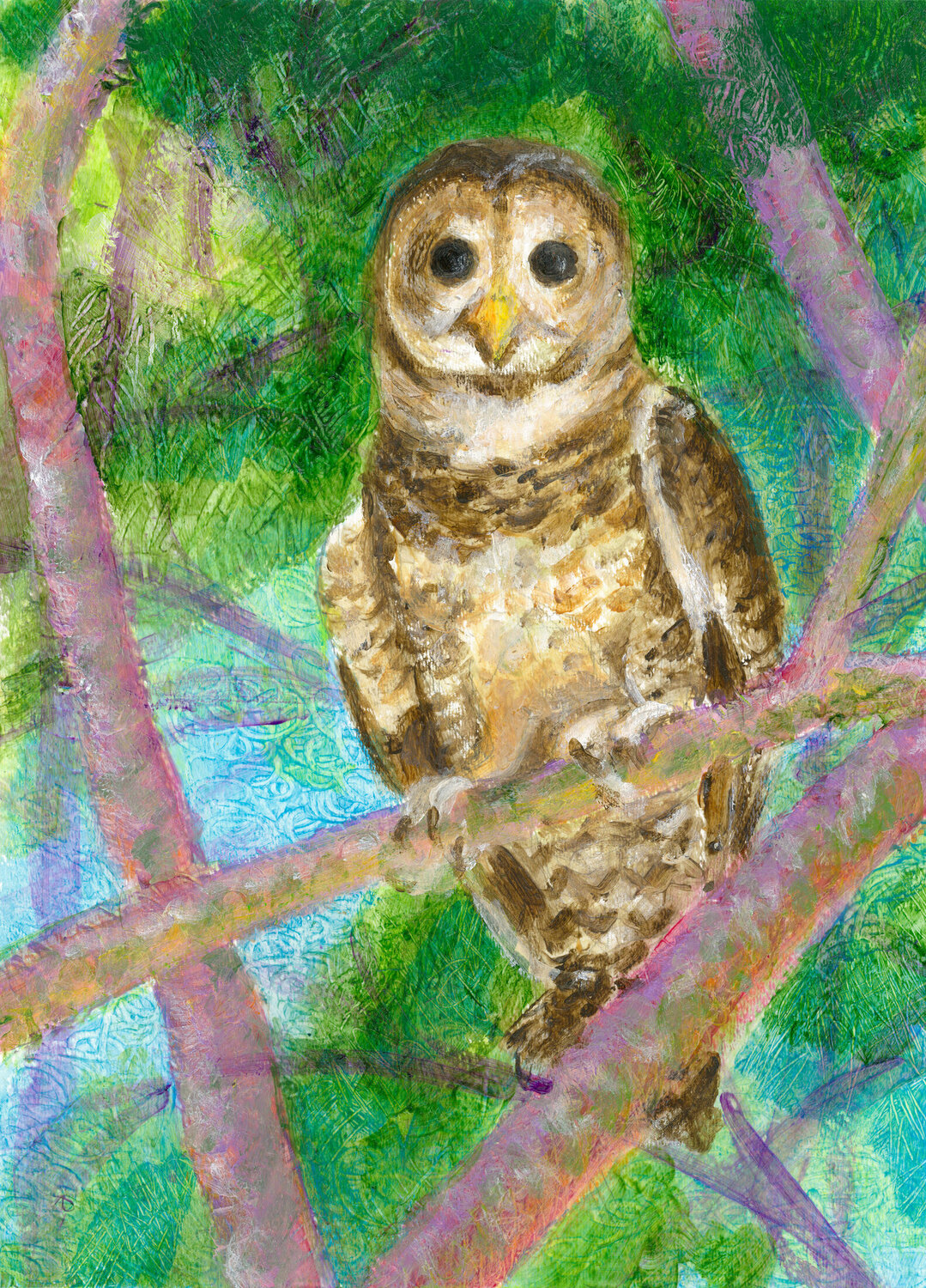 Little Owl Heni Sandoval