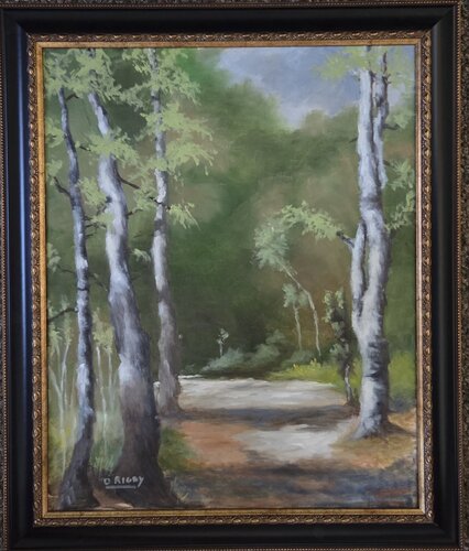 Arapeen Trail van Dane Rigby, Schilderij te koop op Singulart