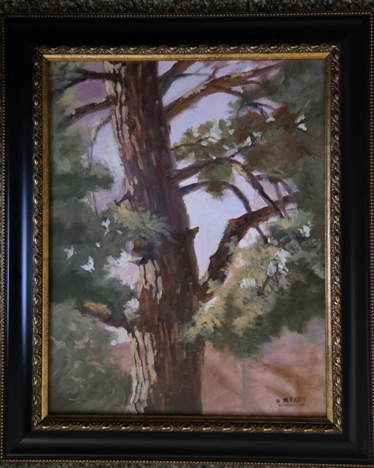 The Old Austrian Pine Dane Rigby Dipinto originale in vendita
