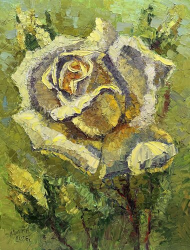 Sun Rose | Original Impasto Floral | Sculptural Textured Painting van Dilorom Mamedova, Schilderij te koop op Singulart