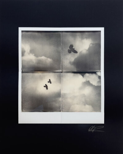 Wolkenvögel di Christof René Schmidt, Altri media in vendita su Singulart