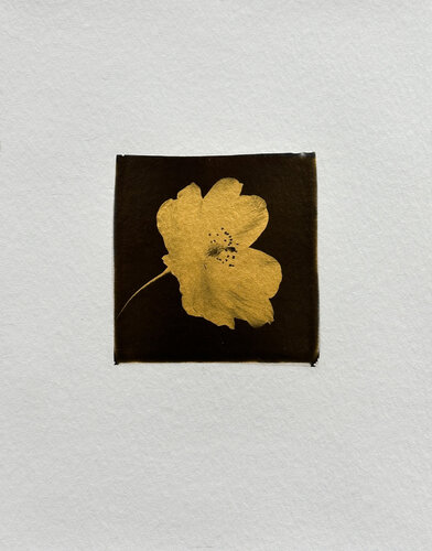 Blume di Christof René Schmidt, Altri media in vendita su Singulart