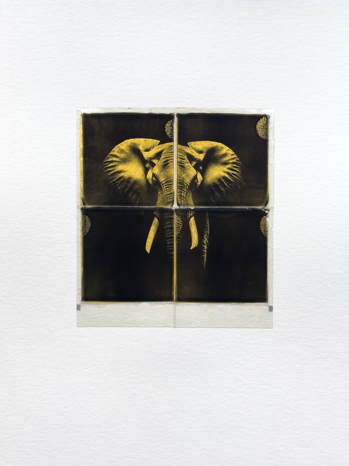 Elephant Christof René Schmidt