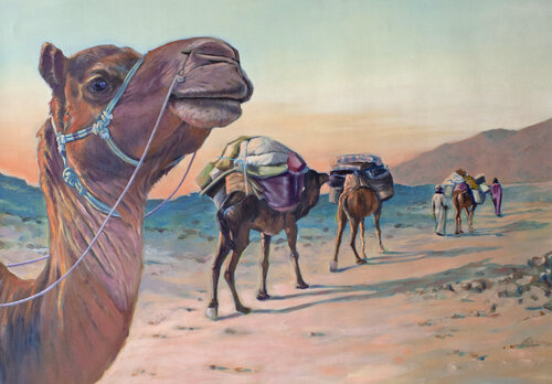 Caravane van Hubert Camiglieri, Schilderij te koop op Singulart