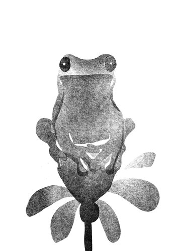 Pond Watcher de Maryam Soleimanirad, Impresión a la venta en Singulart