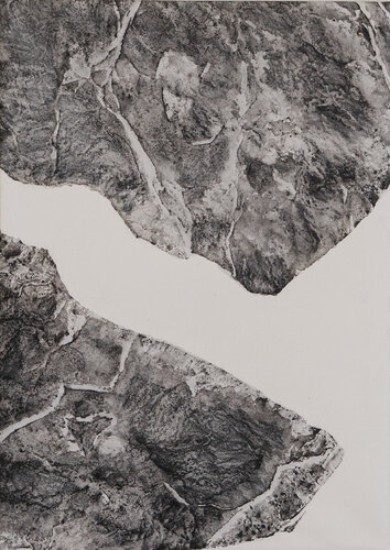 Lo que se abre by Mireia Julian, Work on Paper for Sale on Singulart