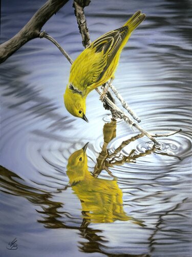 Das Spiegelbild by Maria Bartusek, 소묘 for Sale on Singulart