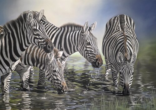 Savannenmelodie von Maria Bartusek, Zeichnungen kaufen auf Singulart