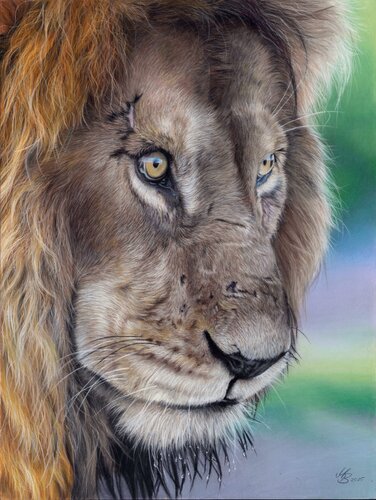 Spuren des Lebens de Maria Bartusek, Dibujo a la venta en Singulart