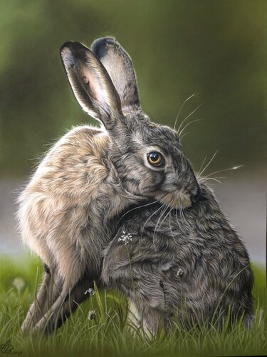 Stille im Grün de Maria Bartusek, Dibujo a la venta en Singulart