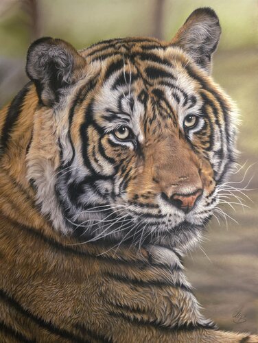 Soul of the Wild de Maria Bartusek, Dibujo a la venta en Singulart