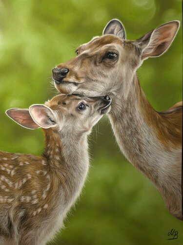 Home von Maria Bartusek, Zeichnungen kaufen auf Singulart