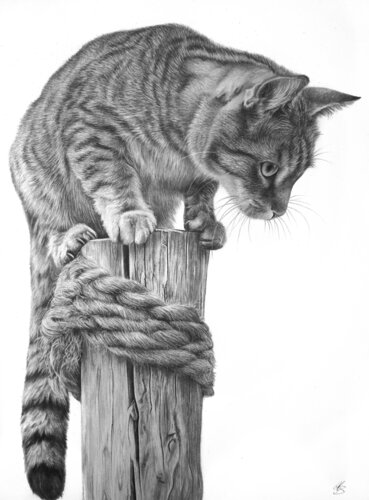 Auf der Lauer von Maria Bartusek, Zeichnungen kaufen auf Singulart