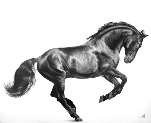 Timeless Grace de Maria Bartusek, Dibujo a la venta en Singulart