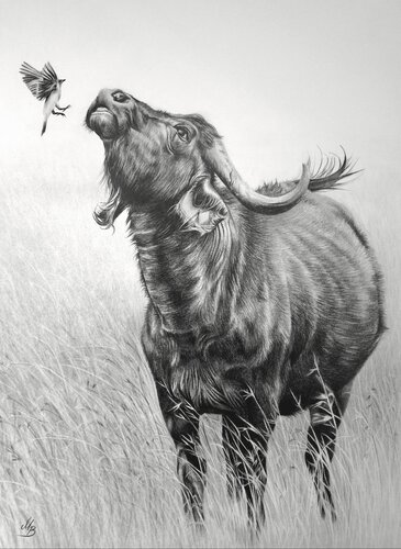 Kleiner Freund de Maria Bartusek, Dibujo a la venta en Singulart