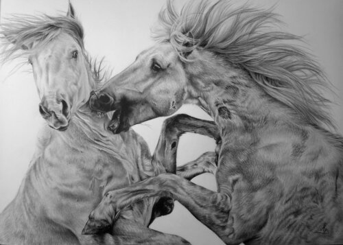 Untamed de Maria Bartusek, Dibujo a la venta en Singulart