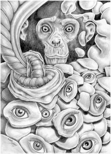 Eine weitere Geschichte der Weisheit di Florian Walde, Disegno in vendita su Singulart