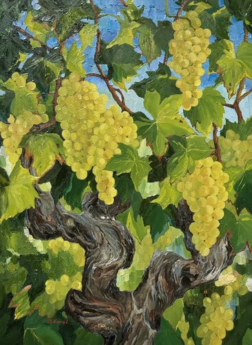 Sun-kissed vine van Ulyana Korol, Schilderij te koop op Singulart
