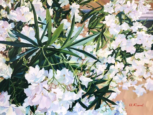White oleanders by Ulyana Korol, 회화 for Sale on Singulart