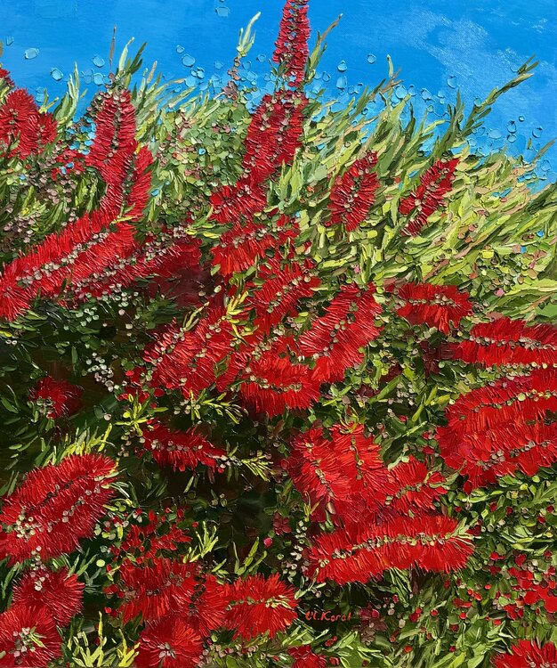 Red colibri Ulyana Korol