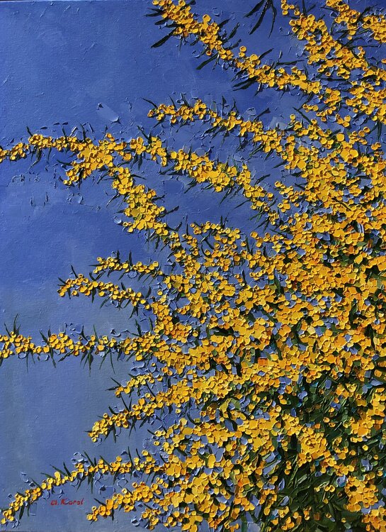 Sky colored of freedom Ulyana Korol