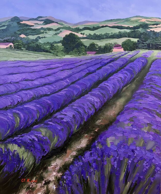Provence romantique Ulyana Korol