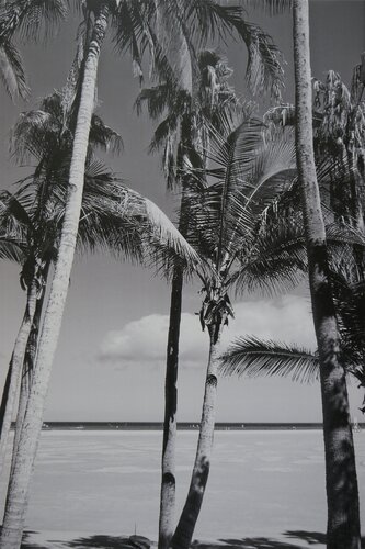 The Quiet Authority of Stillness par Sarah Sue, Photographie en vente sur Singulart