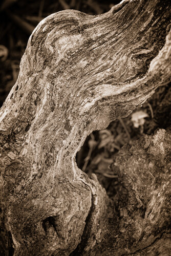 Paisajes Históricos 002 von Javier Roca, Fotografie kaufen auf Singulart