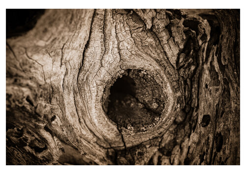 Paisajes Históricos 003 by Javier Roca, Photography for Sale on Singulart