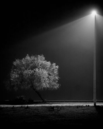 Under the Light de Amandio Bastos, Fotografía a la venta en Singulart