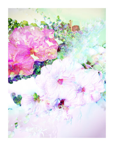 BLOOM#005 von Pierluigi Perfetto, Fotografie kaufen auf Singulart
