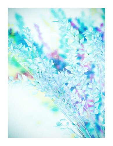 BLOOM#001 von Pierluigi Perfetto, Fotografie kaufen auf Singulart