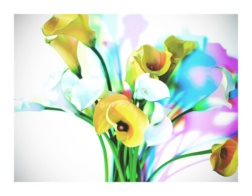 BLOOM#004 von Pierluigi Perfetto, Fotografie kaufen auf Singulart
