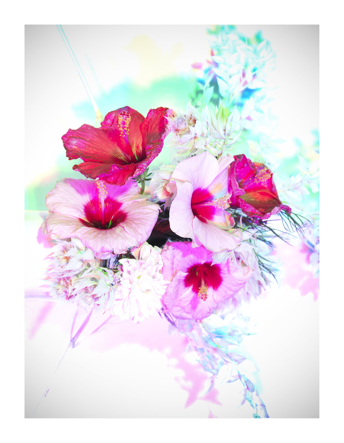 BLOOM#007 Pierluigi Perfetto