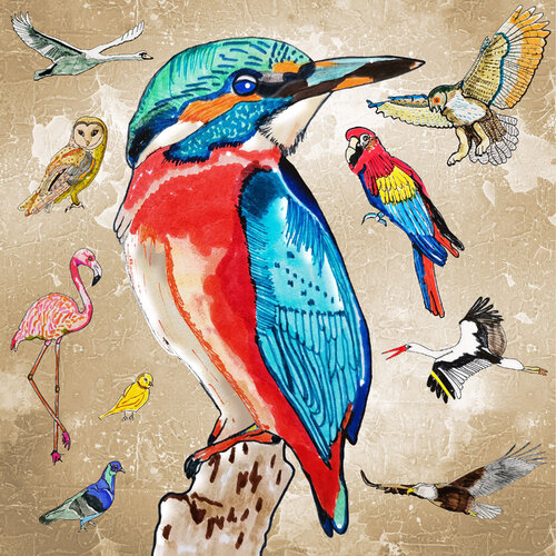 THE KINGFISHER von ART-WOOL Angela Osman + Martin Brauner, Druck kaufen auf Singulart